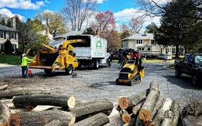Best Grass Overseeding  in Sykesville, MD