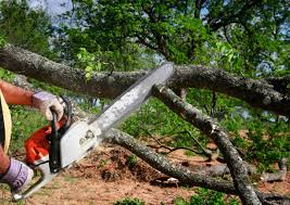 Best Lawn Maintenance Plans  in Sykesville, MD