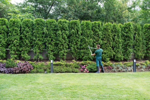 Best Aeration Services  in Sykesville, MD