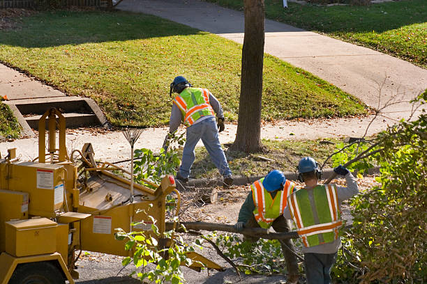 Best Lawn Watering Services  in Sykesville, MD