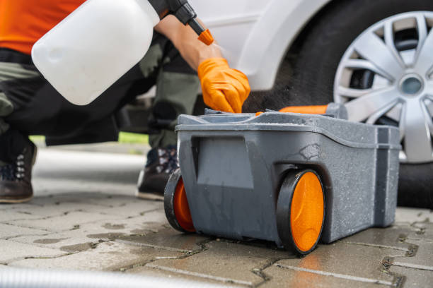 How Our Tree Care Process Works  in  Sykesville, MD